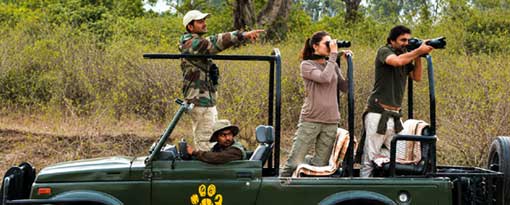jeep jhalana